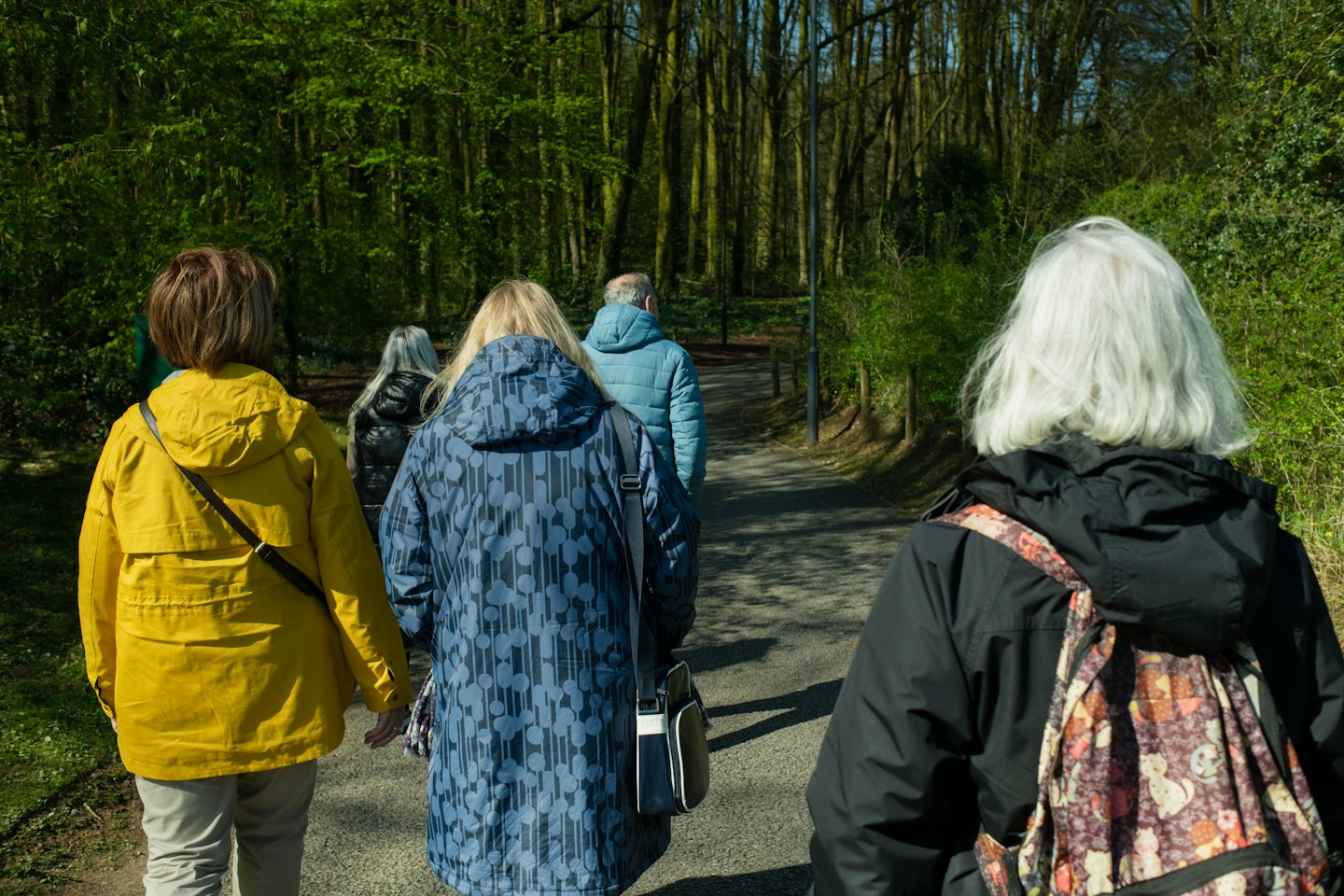 Anziani che passeggiano su un sentiero nel bosco in una giornata di sole.
